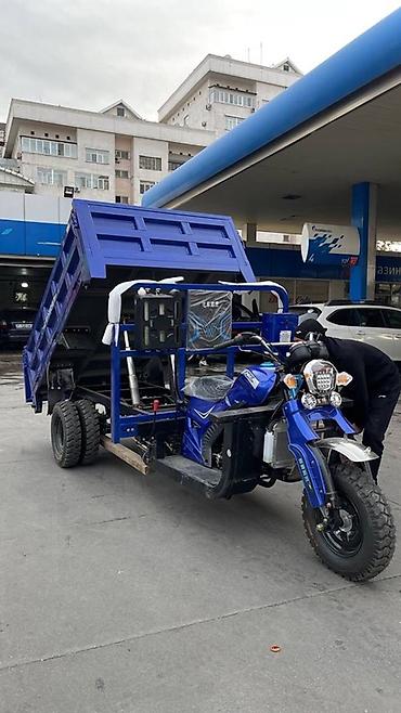 Microcar: Microcar : 2026 г., Электромобиль, Минивэн — 38