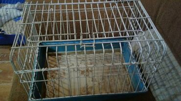 Su və yem qabları: Shekilleri cevirin Xamyaklar ucun her bir aksesuarlar satilir — 9