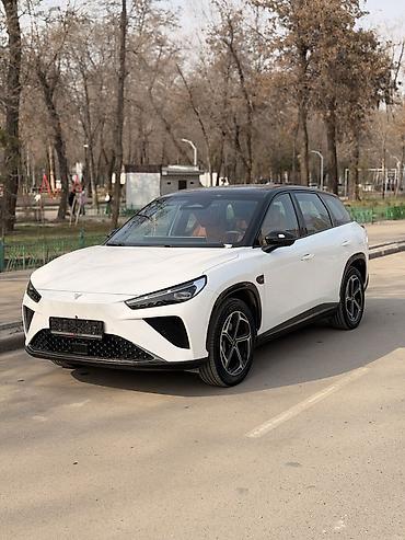 BYD: BYD : 2024 г., 1.5 л, Электромобиль, Кроссовер — 1