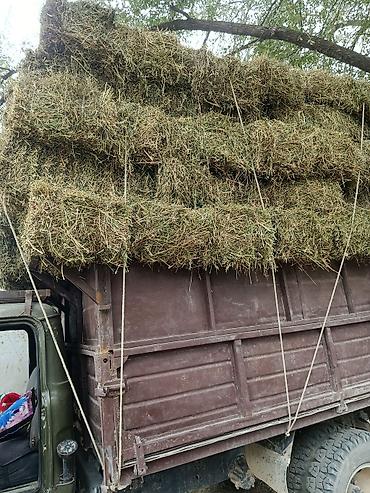 клевер тюк: КАСТРА КАСТРА Сено в тюках - Натуральное луговое сено, спрессованное — 2