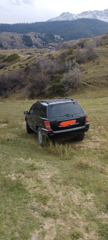 рекстон джип: Jeep Grand Cherokee: 2002 г., 2.7 л, Автомат, Дизель, Внедорожник