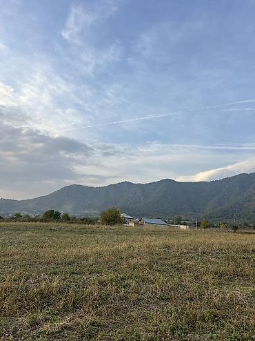 səki torpaq satisi: 7 sot, Tikinti, Mülkiyyətçi, Kupça (Çıxarış) — 2