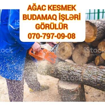 remont generatora: Ağac kesmek budamaq işləri görülür.🪚 Kotukleri səliqəli dogramaq qol