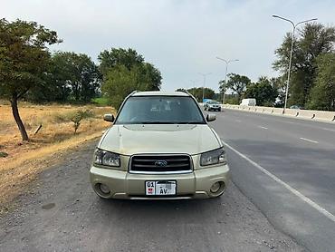 форестер 2008: Subaru Forester: 2003 г., 2 л, Автомат, Бензин, Кроссовер — 1