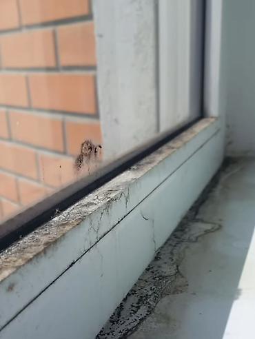 Уборка помещений: Lemon Cleaning — профессиональная уборка с лимонной свежестью Что — 2