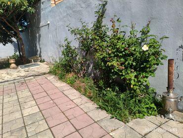 Həyət evləri və villaların satışı: 4 otaqlı, 125 kv. m, Kredit yoxdur, Yeni təmirli — 7