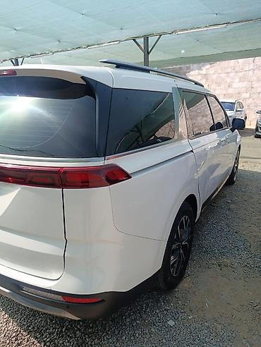 машина 50мин: Kia Carnival: 2021 г., 2.2 л, Автомат, Дизель, Минивэн — 1