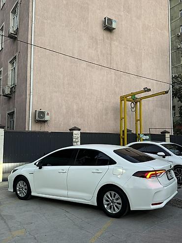 каролла тайота: Toyota Corolla: 2023 г., 1.8 л, Вариатор, Гибрид, Седан — 2