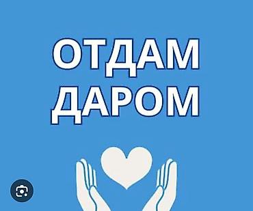 Отдам даром одежду для девочки с рождения и до 3 лет. В хорошем at lalafo.kg Отдам даром одежду для девочки с рождения и до 3 лет. В хорошем