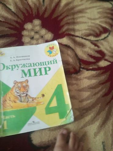platform ok: Школьные учебники (набор) - Литературное чтение, 4 класс, часть 2 — 7