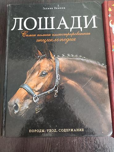 роналду: Книги разными жанрам можно все сразу можно и по отдельности сразу все — 6