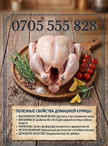 инкубатор икры: Икра, форель и халяльная домашняя куриная продукция. - Икра — 2000 — 4