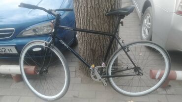 Городские велосипеды: Городской велосипед, Рама L (172 - 185 см), Новый — 11