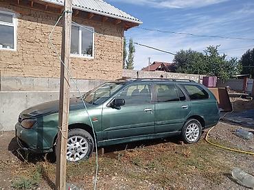 renault 21: Nissan Primera: 2001 г., 1.8 л, Автомат, Бензин, Универсал — 6