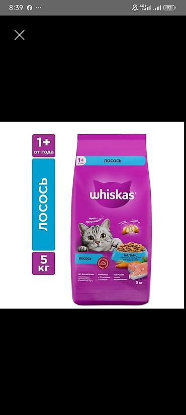 вискас: Корм для собак" Чаппи" 15кг -3700с. Вискас 13,8кг-6000с Вискас — 5