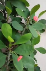 я ищу работу сиделку: Ищу работу няни. Работала в пяти семьях по 2или 3 года. В двух семьях