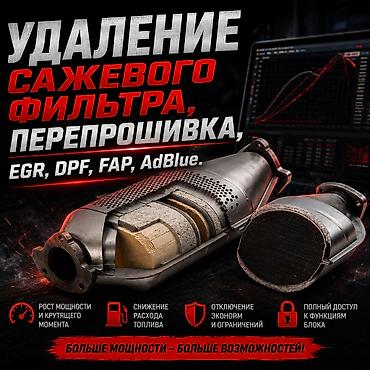 Прошивка авто Переход на нормы токсичности Евро-2/Евро-0 (Отключение