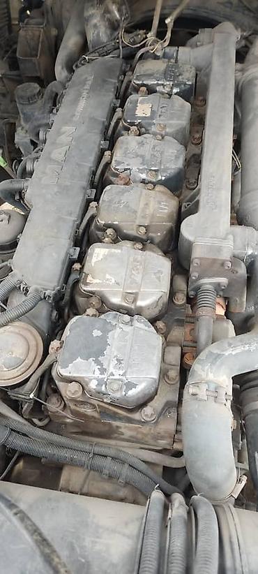 Тягачи: Тягач, MAN, 2004 г., Холодильник, рефрижератор — 11