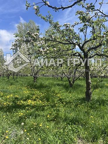 Продажа коттеджей и домов: ПРОДАЁТСЯ ДОМ НА ИССЫК-КУЛЕ 🔷 📍 с. Кожояр (100 м выше трассы, поворот — 16