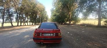 Audi: Audi 80: 1987 г., 1.8 л, Механика, Бензин, Седан — 8