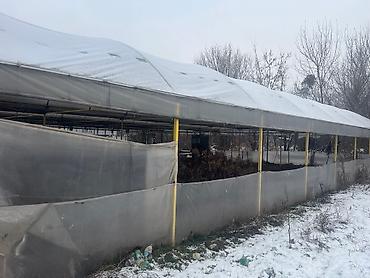 плёнка для теплицы: Продаю теплицу(каркас), без земли, самовывоз - само вынос. 360м/кв — 3