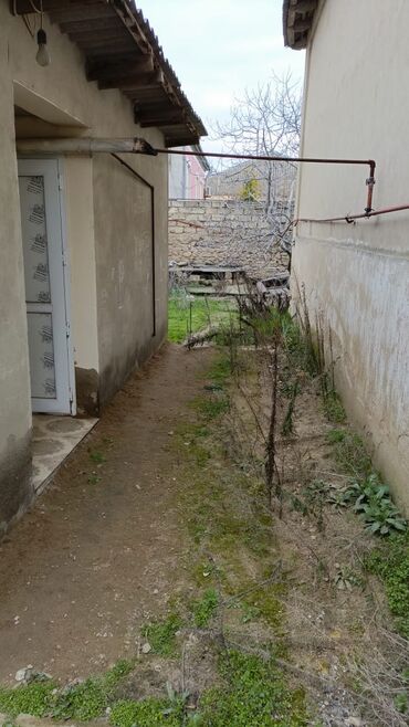Həyət evləri və villaların satışı: Binə 3 otaqlı, 80 kv. m, Orta təmir -da lalafo.az — 11 Həyət evləri və villaların satışı: Binə 3 otaqlı, 80 kv. m, Orta təmir — 11