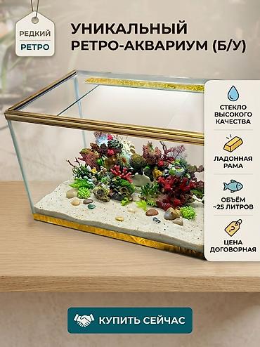 Аквариумы: Торг возможен! Редкий ретро-аквариум с латунной рамой - Объем: около — 1