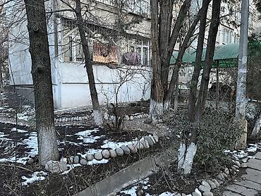 Продажа квартир: 2 комнаты, 47 м², 1 этаж, Евроремонт — 2