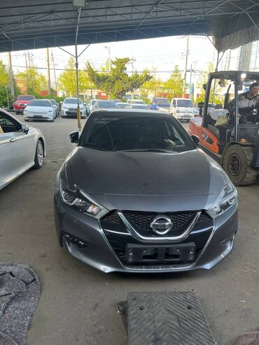 камаро шевроле: Nissan Maxima: 2018 г., 3.5 л, Автомат, Бензин, Седан