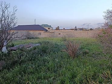 sultan emlak: Bakı, Binə, 1400 kv. m, 4 otaqlı, Hovuzlu, Qaz, İşıq, Artezian quyusu — 8