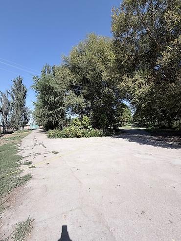 кашао: 250 соток Для бизнеса, Водопровод, Электричество — 3