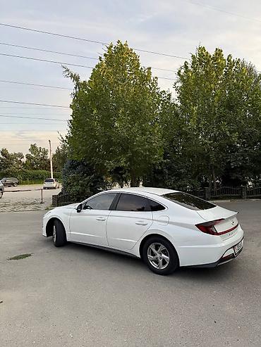 byd khan: Hyundai Sonata: 2019 г., 2 л, Автомат, Бензин, Седан — 4