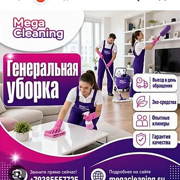 Генеральная уборка от Mega Cleaning - Профессиональная команда