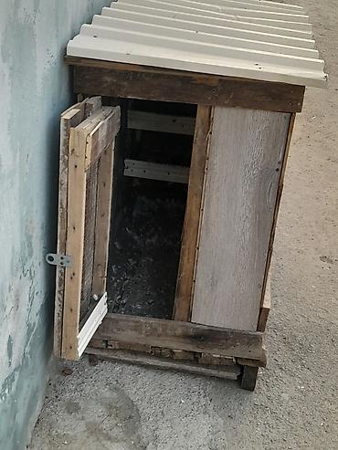 Yuvalar: Super möhkemdir 14 16 qusluqdur qiymet 30 a yendi unvan xirdalan bir — 2