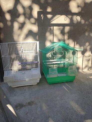 bulbul satışı: Papuqay ucun qefes satilir 1 eded 10 azn — 1