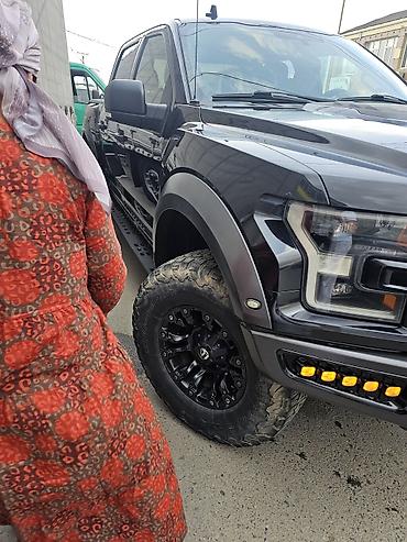 госномер сертифика: Ford F-150: 2019 г., Пикап — 3