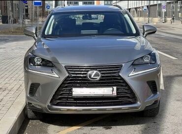 наклейка на авто: Lexus NX: 2016 г., 2.5 л, Автомат, Гибрид, Кроссовер