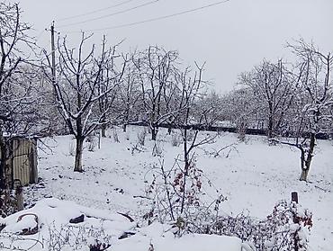 Torpaq sahələrinin satışı: 12 sot, Tikinti, Makler, Müqavilə — 11