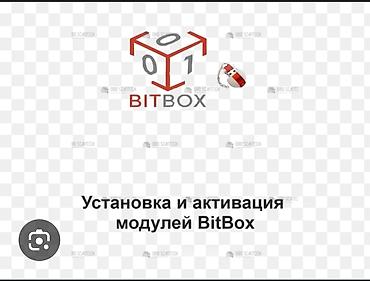 прошить: BIT BOX.PCM Flesher оригинал продаётся для прошивки Автомобиля — 3