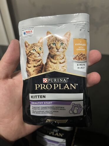 кыргыз корм: Корм для котят PROPLAN
80 сом - 1шт