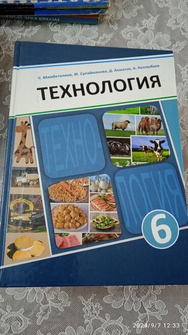 Алгебра: Учебники с 5по7 классы Алгебра 150с История Кыргызстана 200с — 8