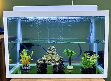 akvariyum: Akvaryum seti – LED işıqlı, qapaqlı, dekorasiyalı - Şüşə akvaryum, ağ — 1