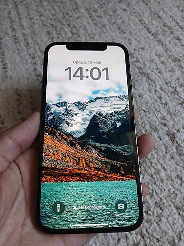 Apple iPhone: IPhone 12 Pro, Б/у, 128 ГБ, Графит, Чехол, 88 % — 9