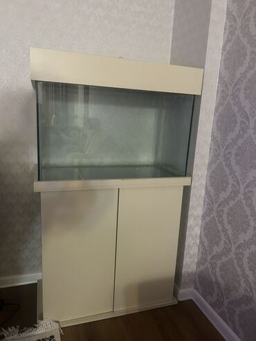 Akvariumlar: Dördbucaq akvarium, Boş, 140 l — 9