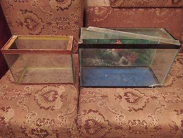 akvarium satilir: 2 ədət akvarium bir yerdə satilir. Birində balaça çat var, su — 1