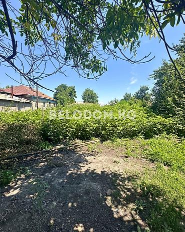 по трассе: 🏠Продается дом в с. Беловодское Нижняя зона от трассы - 500 м 🟡Стены — 2