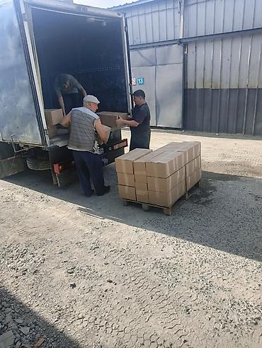 Резюме: Услуги грузчиков и ручные погрузочно-разгрузочные работы - Погрузка и — 1