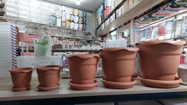 Bitkilər üçün dibçəklər: Dipçekler dipcek qablari dipcek aablar gul aabilar Gül qabilar ferqli -da lalafo.az — 6 Bitkilər üçün dibçəklər: Dipçekler dipcek qablari dipcek aablar gul aabilar Gül qabilar ferqli — 6