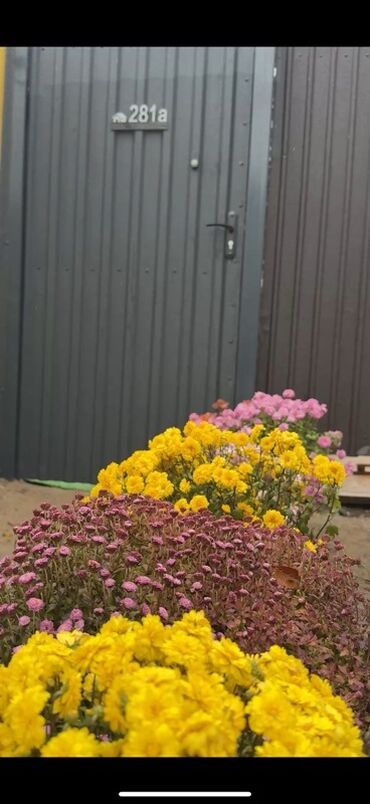 Продажа домов: Дом, 80 м², 4 комнаты, Собственник, Евроремонт — 2