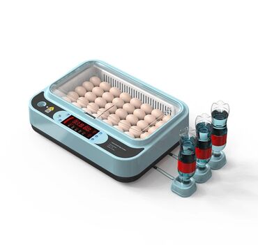 Oprema za kućne ljubimce: INKUBATOR Automatski nove generacije za 36 jaja 12v/220v — 2